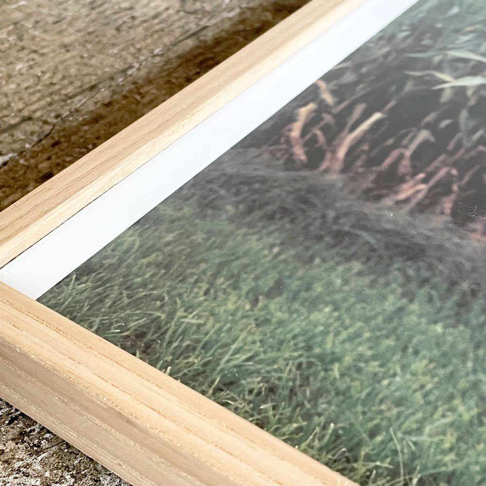 KINFOLK フォトフレーム 額装品 44×32cm 代官山蔦屋購入 展示会限定 ■