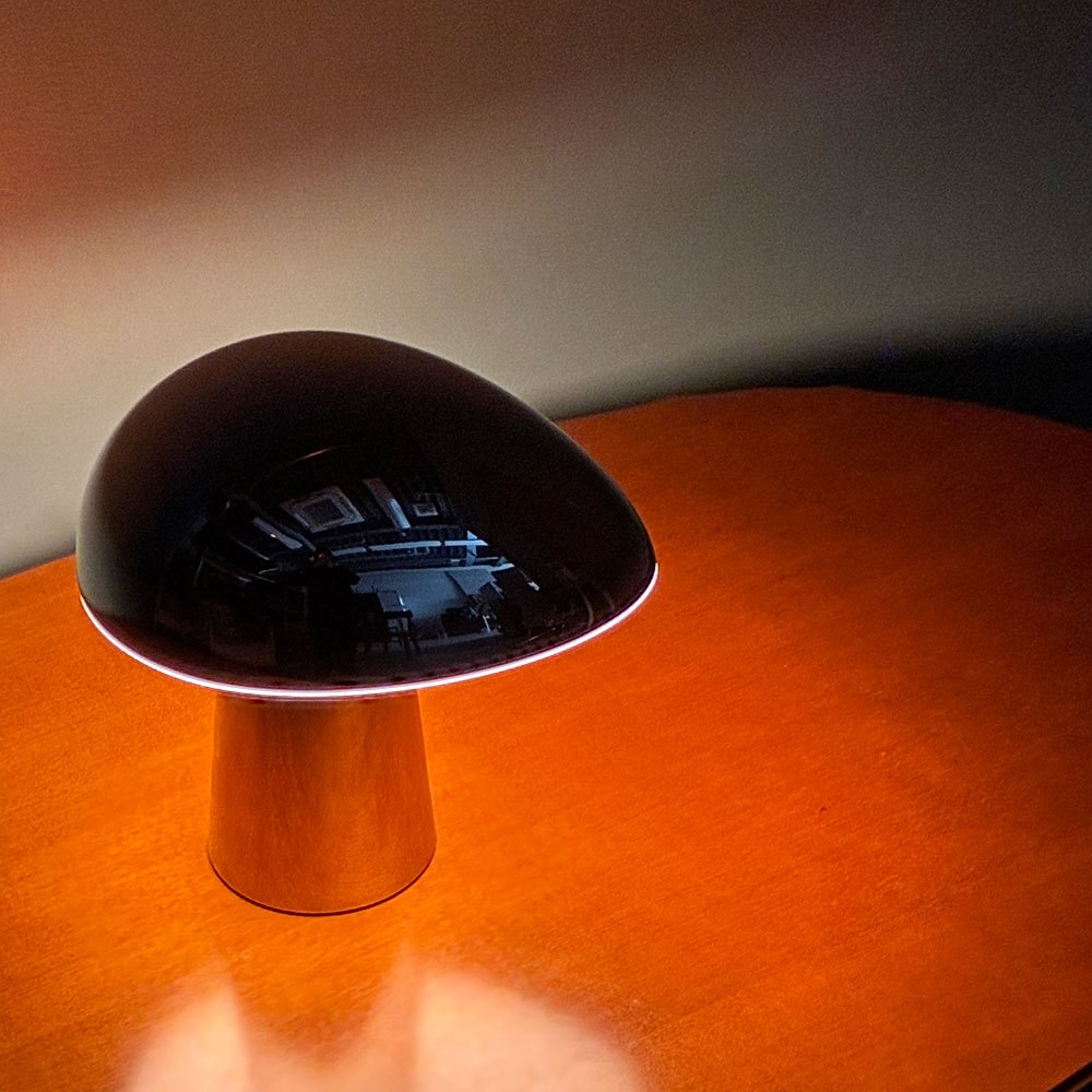 フリッツハンセン Fritz Hansen ナイトオウル NIGHT OWL テーブルランプ シルバーポリッシュ仕上げ ニコライ・ウィグ・ハンセン 北欧 ◎