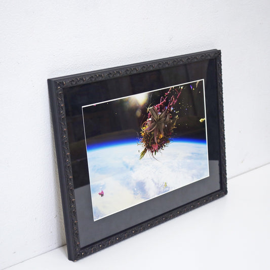 AMKK 東信 花樹研究所 EXOBIOTANICA オリジナルプリント BOUQUET #5988 2014年 証明書付き 額装品 BOTANICAL SPACE FLIGHT ●
