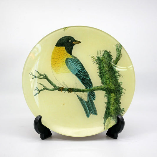 ジョンデリアン JOHN DERIAN デコパージュプレート Decoupage plate バード bird ブラウン 飾り皿 Φ21.5cm アッシュペーフランス H.P. FRANCE 取扱 ●