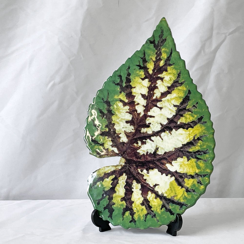 アスティエ・ド・ヴィラット Astier de Villatte ジョン・デリアン John Derian トロピカルリーフ リーフプラッター W28.5cm フランス ◇