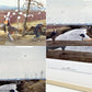 ジェフ・ウォール Jeff Wall ア・サドゥン・ガスト・オブ・ウィンド （アフター・ホクサイ）A Sudden Gust of Wind (after Hokusai) 1993 額装品 ポスター ●