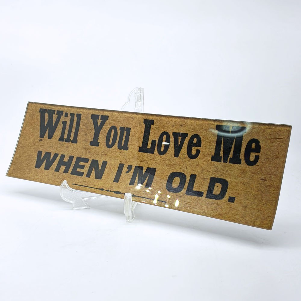 ジョンデリアン JOHN DERIAN デコパージュプレート Will You Love Me When I'm Old 飾り皿 ニューヨーク H.P.FRANCE 取扱 ●