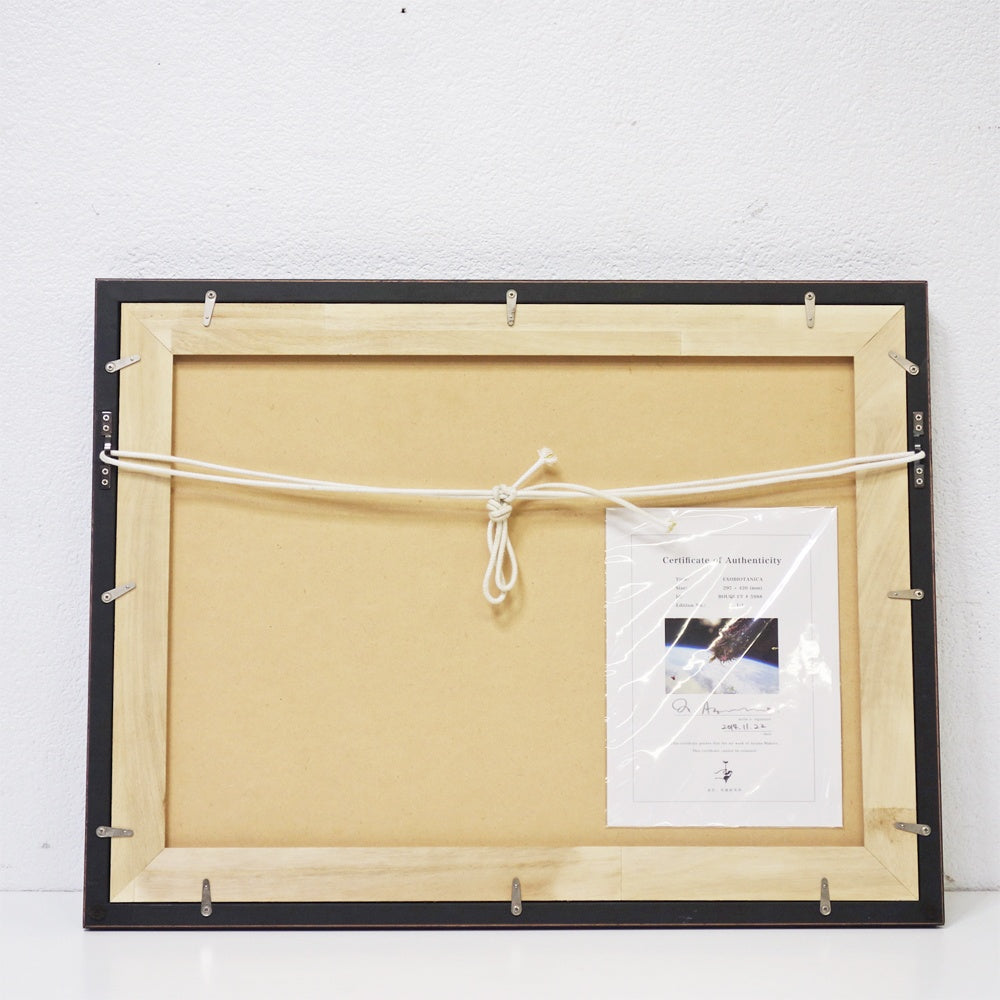 AMKK 東信 花樹研究所 EXOBIOTANICA オリジナルプリント BOUQUET #5988 2014年 証明書付き 額装品 BOTANICAL SPACE FLIGHT ●