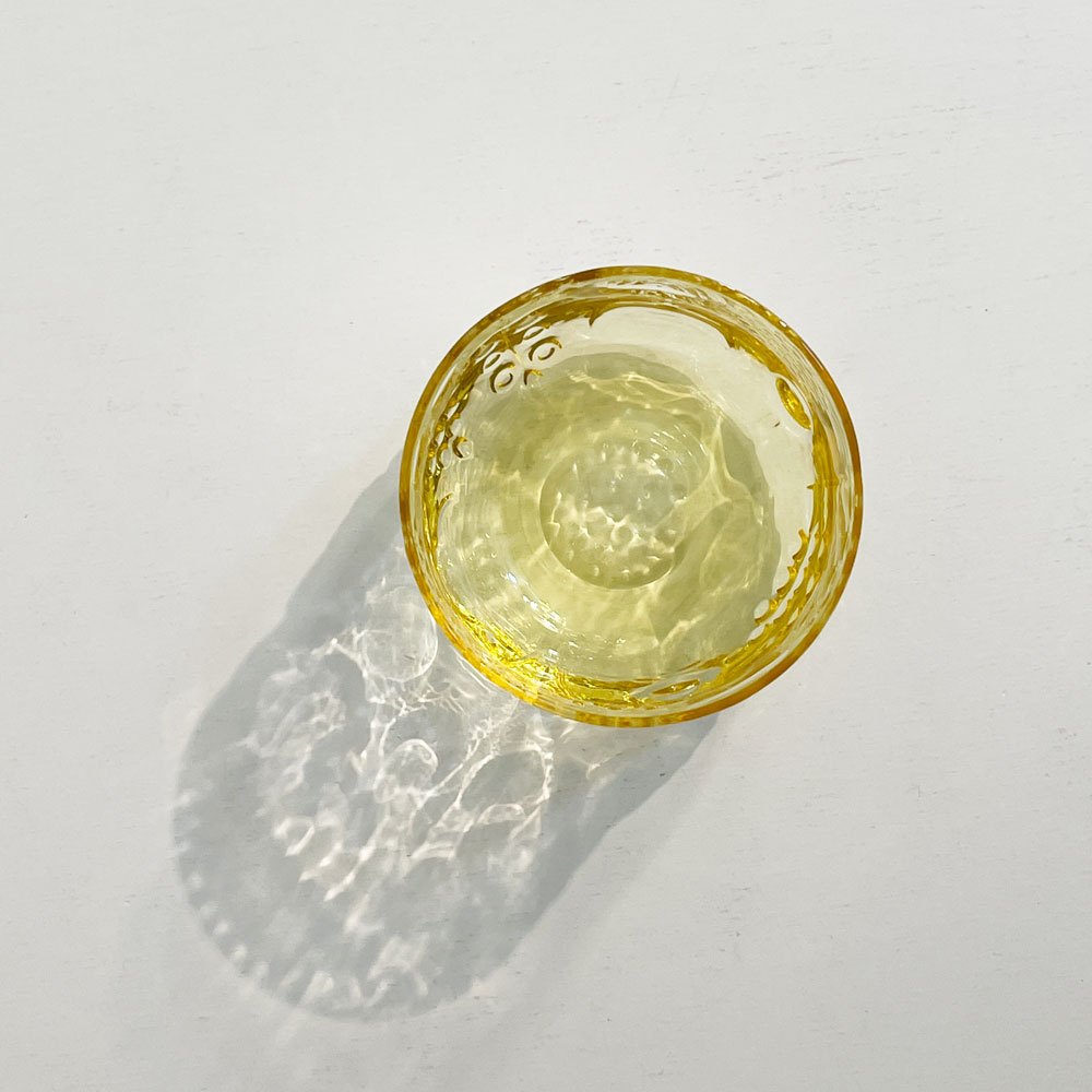 イッタラ iittala フルッタ Frutta タンブラー 250ml レモン オイバ トイッカ Oiva Toikka 北欧食器 B ◎