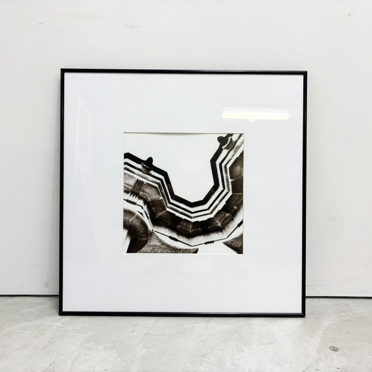 ボーコンセプト BoConcept フォトアート Photo Art 60×60 ニコール・ガディエル Nicole Gadiel インテリア ルームデコレーション ポスター 写真家 デンマーク 北欧 モダン 額装品 A ●