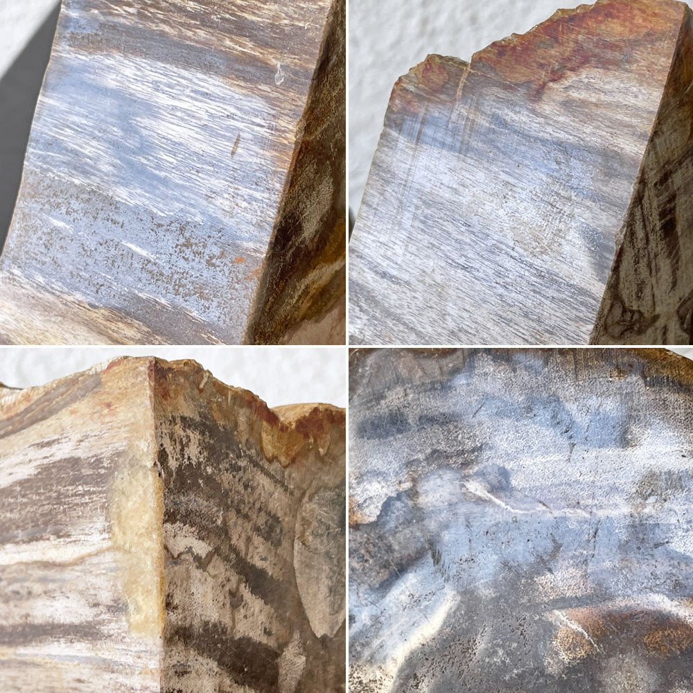 オーク ペトリファイド ウッド OAK Petrified Wood 珪化木 ブックエンド 本立て オブジェ ベージュ系 ウッドストーン 鉱石 ◇