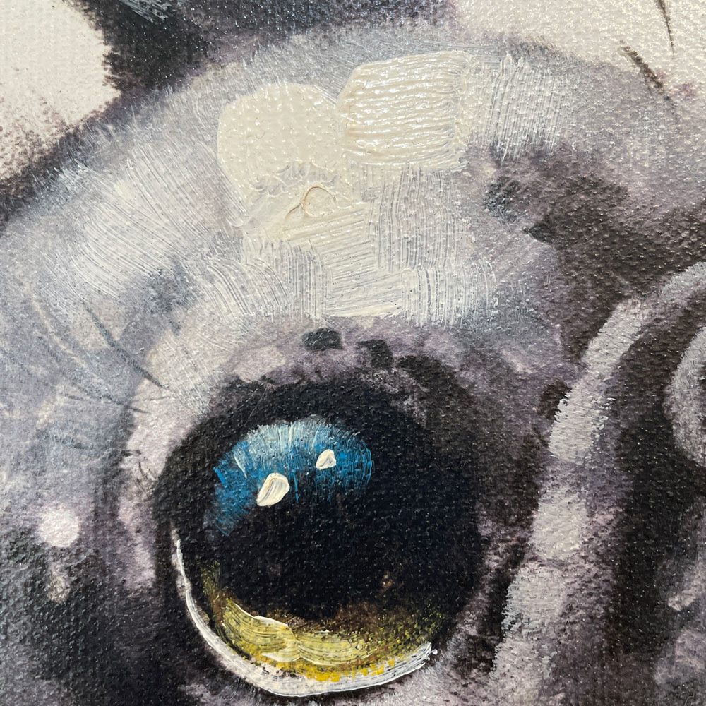 リビングハウス LIVING HOUSE アートペイント 見上げるフレンチブルドッグ 犬 60x60cm キャンバス画 壁掛けインテリア ◎