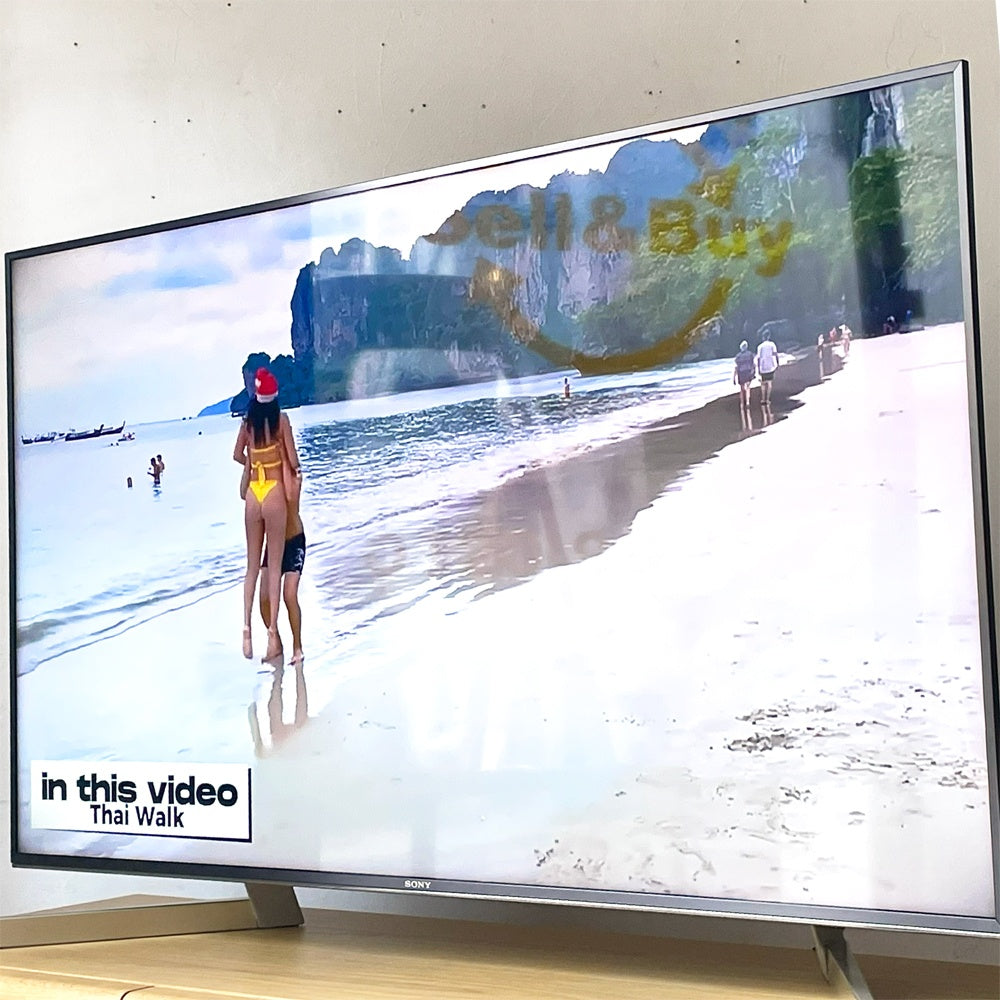 ソニー SONY ブラビア Bravia 4K液晶テレビ 49V型 49インチ KJ-49X9000F リモコン Wi-Fi対応 2018年製 美品 ★