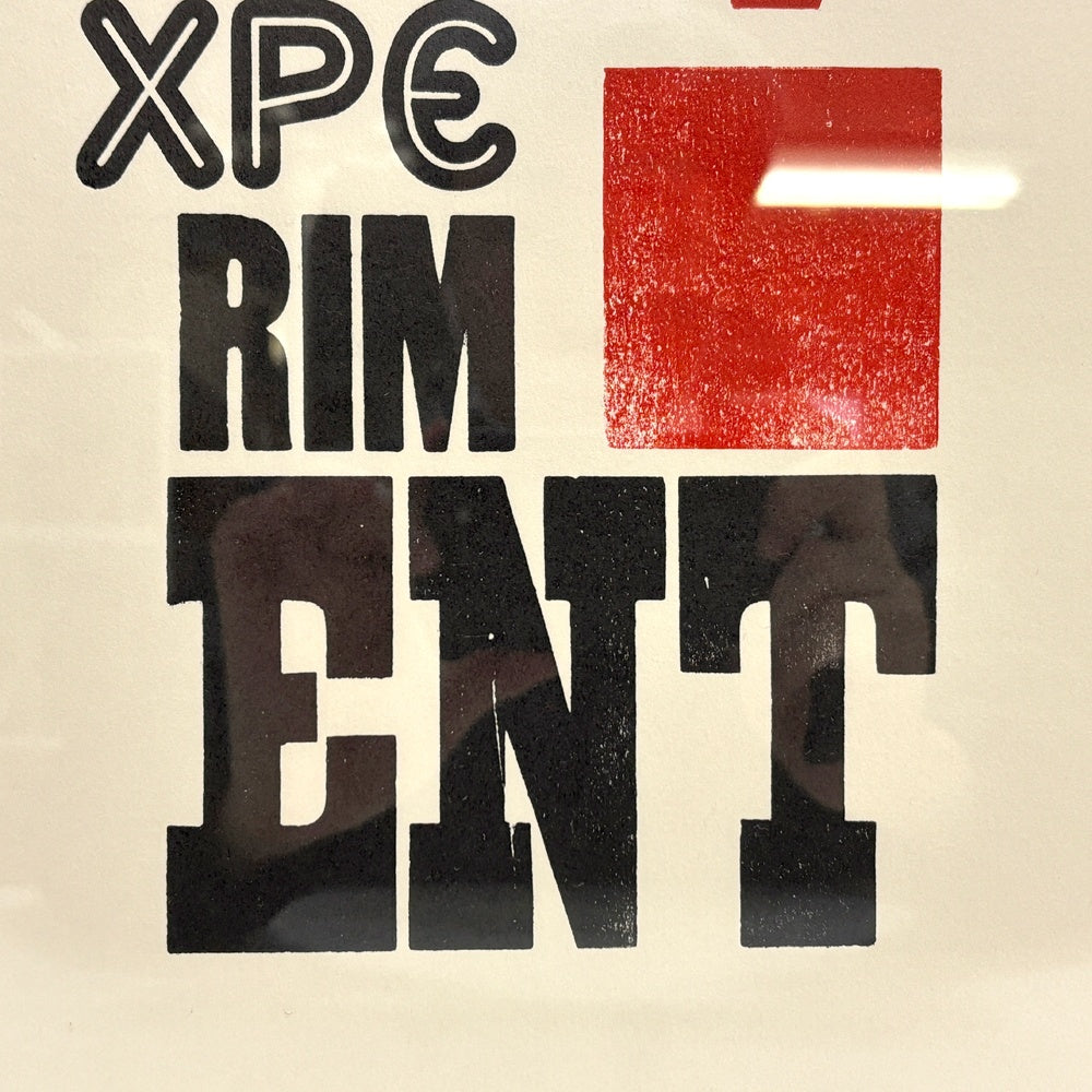 ア・トゥー・パイプ・プロブレム A TWO PIPE PROBLEM EXPERIMENT アートポスター ステファン・ケニー Stephen Kenny 活版印刷 アルファベット W32.5cm 額装品 ●