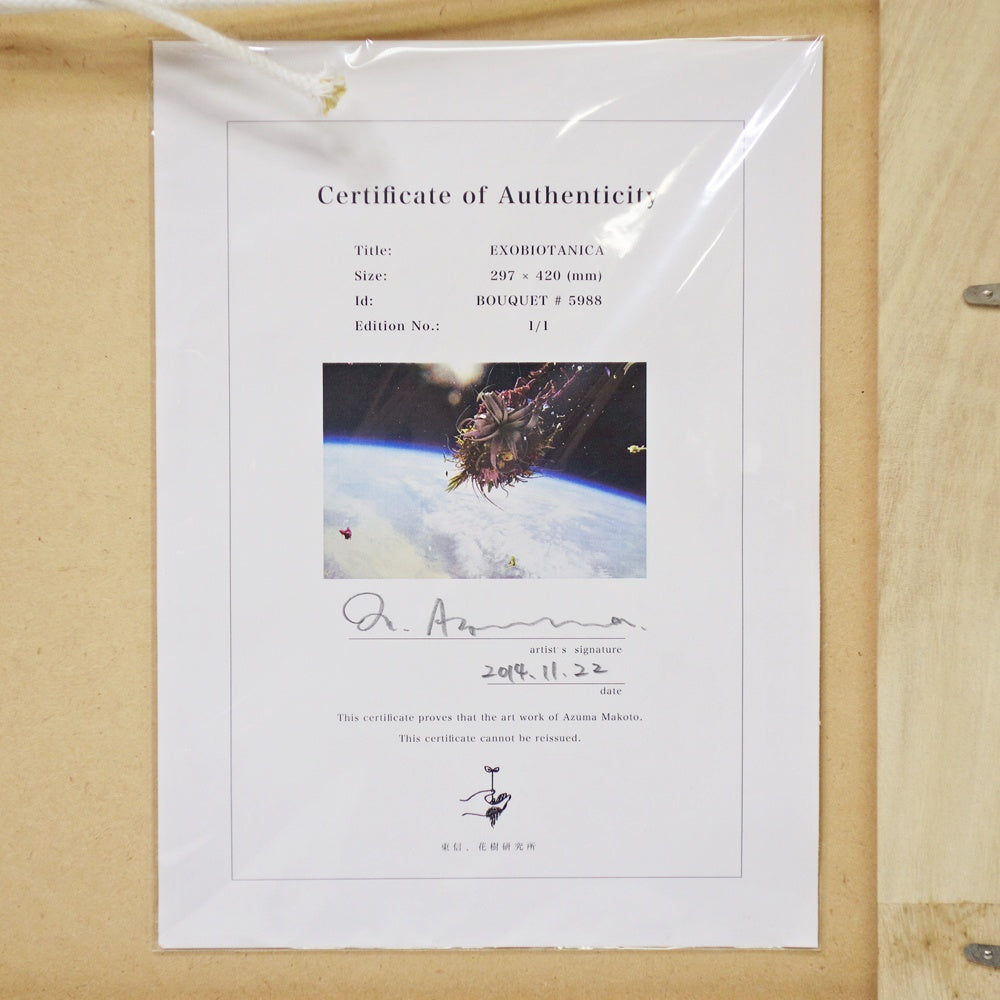 AMKK 東信 花樹研究所 EXOBIOTANICA オリジナルプリント BOUQUET #5988 2014年 証明書付き 額装品 BOTANICAL SPACE FLIGHT ●