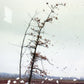ジェフ・ウォール Jeff Wall ア・サドゥン・ガスト・オブ・ウィンド （アフター・ホクサイ）A Sudden Gust of Wind (after Hokusai) 1993 額装品 ポスター ●