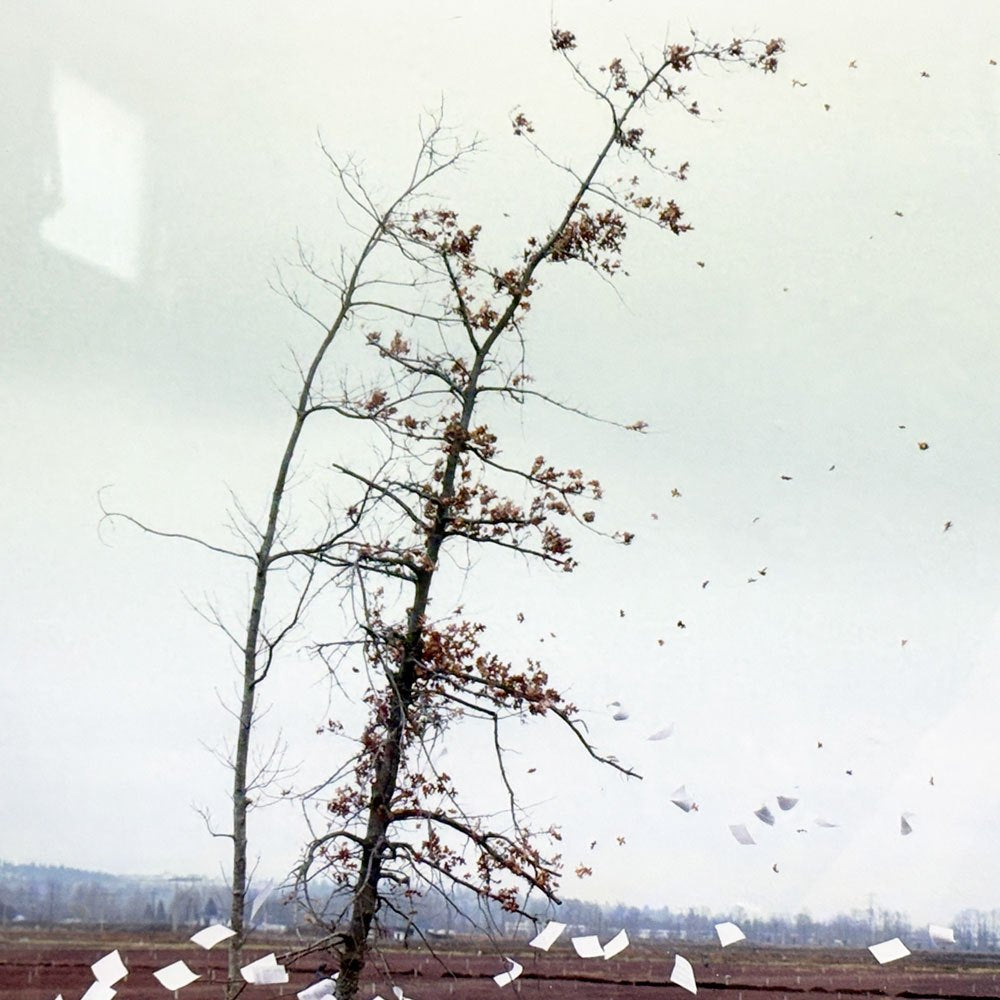 ジェフ・ウォール Jeff Wall ア・サドゥン・ガスト・オブ・ウィンド （アフター・ホクサイ）A Sudden Gust of Wind (after Hokusai) 1993 額装品 ポスター ●