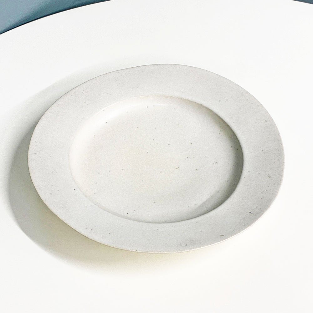 安藤雅信 イタリア パスタ皿 Lサイズ 28cm リムプレート 現代作家 ◎