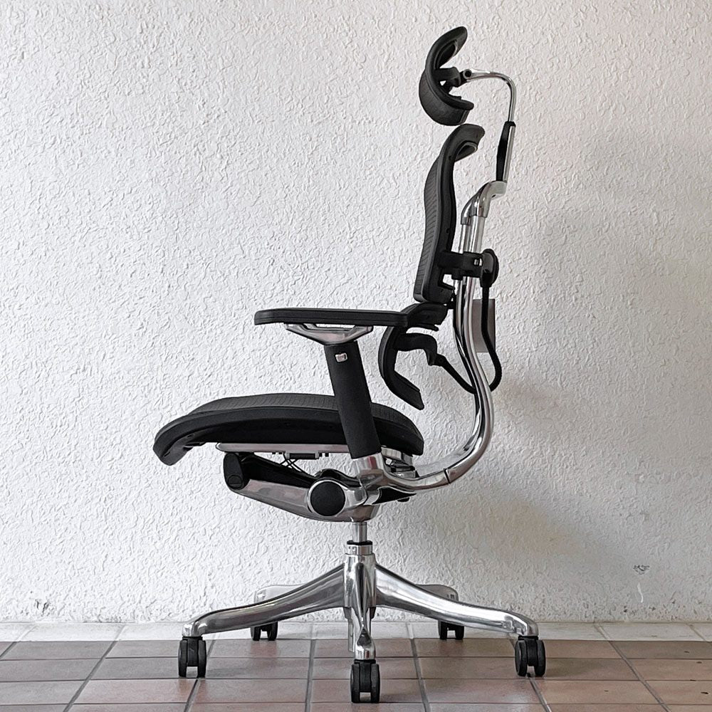 エルゴヒューマン Ergohuman プロ Pro ハイタイプ デスクチェア ワークチェア ブラック メッシュ アルミダイキャスト 多機能 ◇