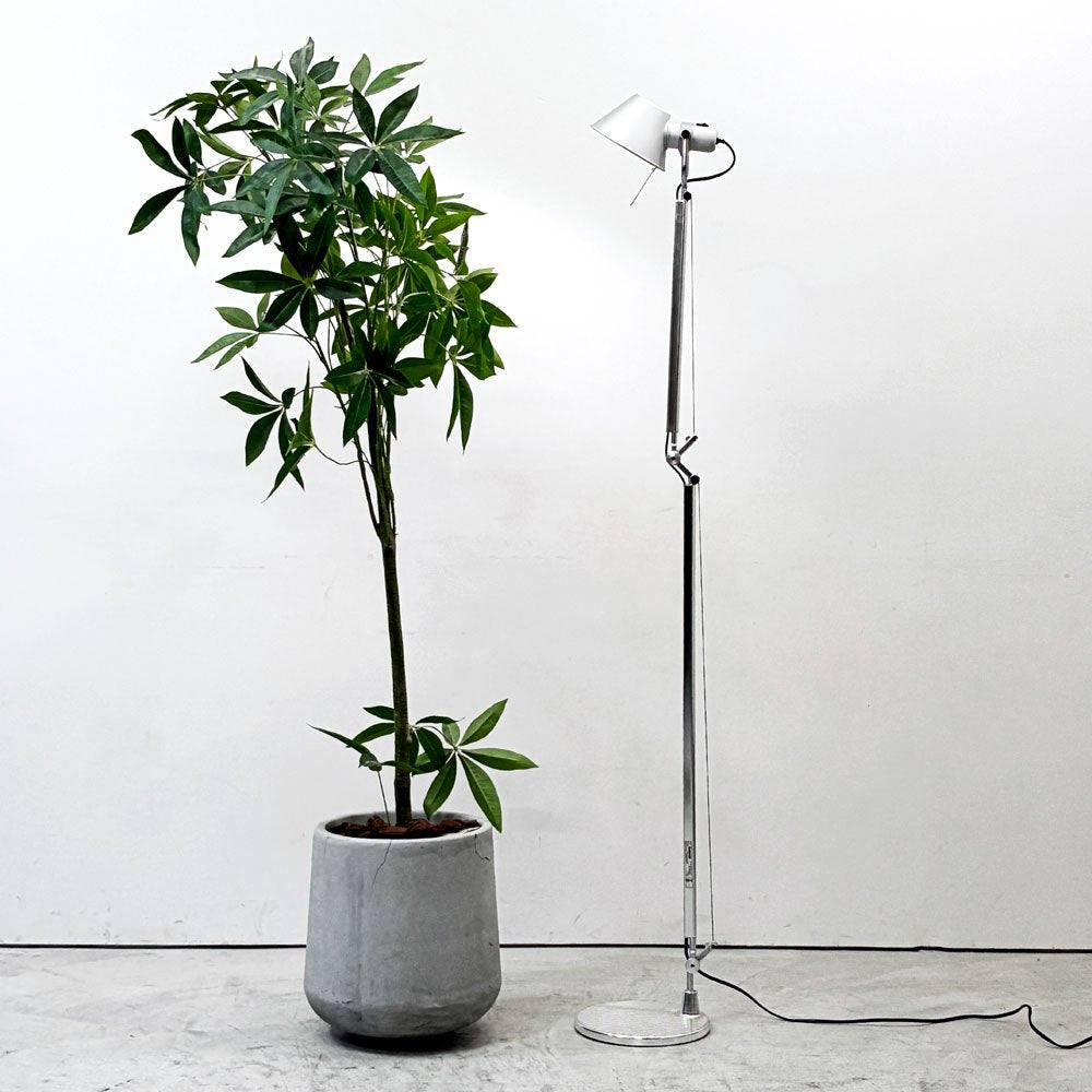 アルテミデ Artemide トロメオ TOLOMEO リーディングフロア Reading Floor フロアライト アルミアルマイト仕上 ミケーレ・デ・ルッキ ●