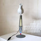 アングルポイズ Anglepoise × ポールスミス Paul Smith Type 75 デスクランプ Edition ONE パステルカラー 数量限定 廃番 ◎