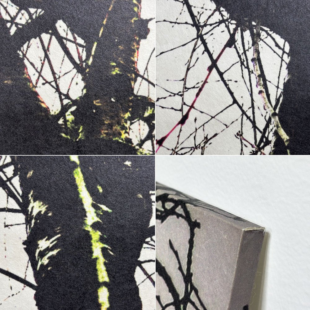 フォト ウォールアート アートフレーム パネル 白黒写真 モノトーン 樹木 mtサイン入り エディションNo.1/3 作家不明 ポスター 壁掛けインテリア ●