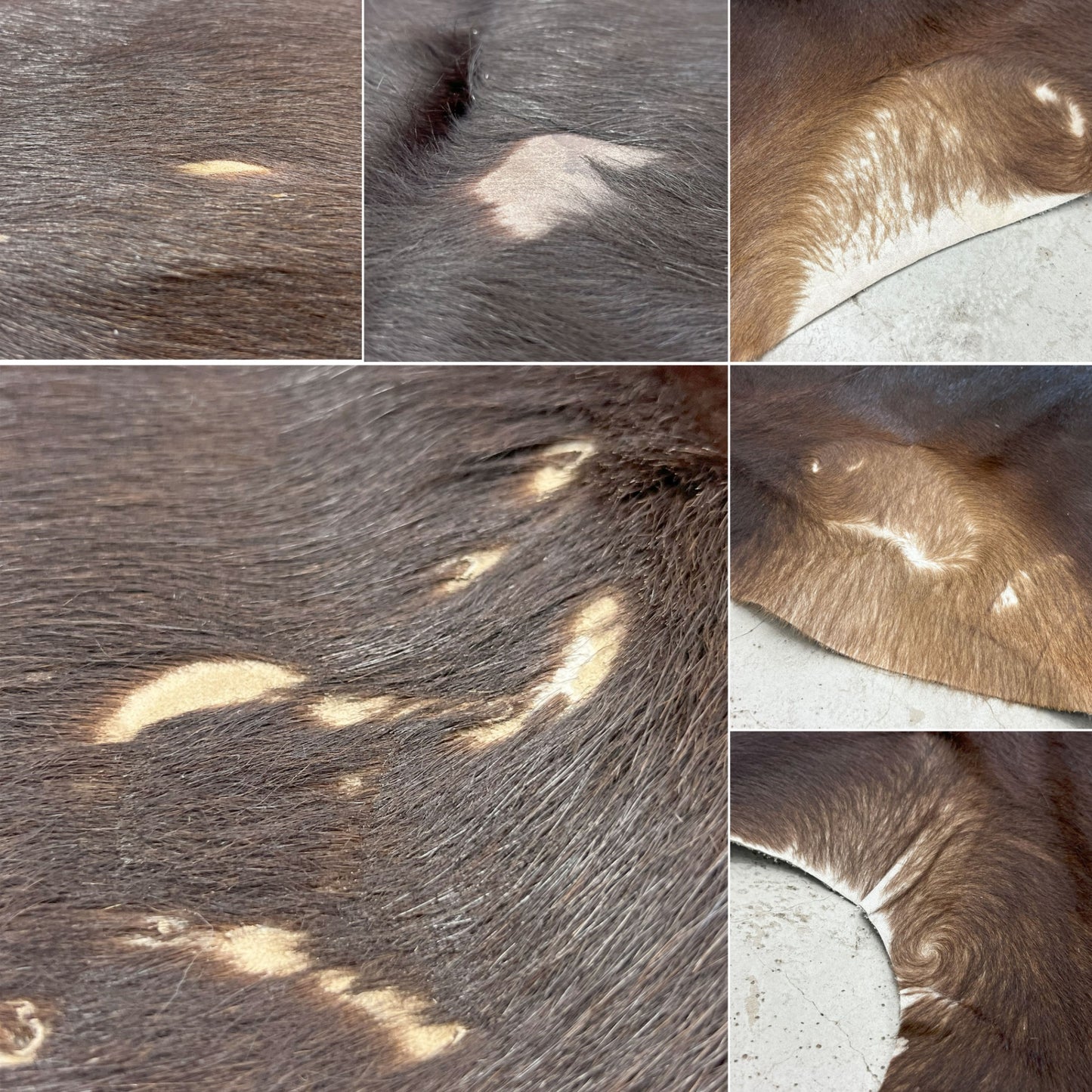 大判 カウラグ 牛革 カーペット ラグマット 毛皮 ハラコ 敷物 ダークブラウン  〓