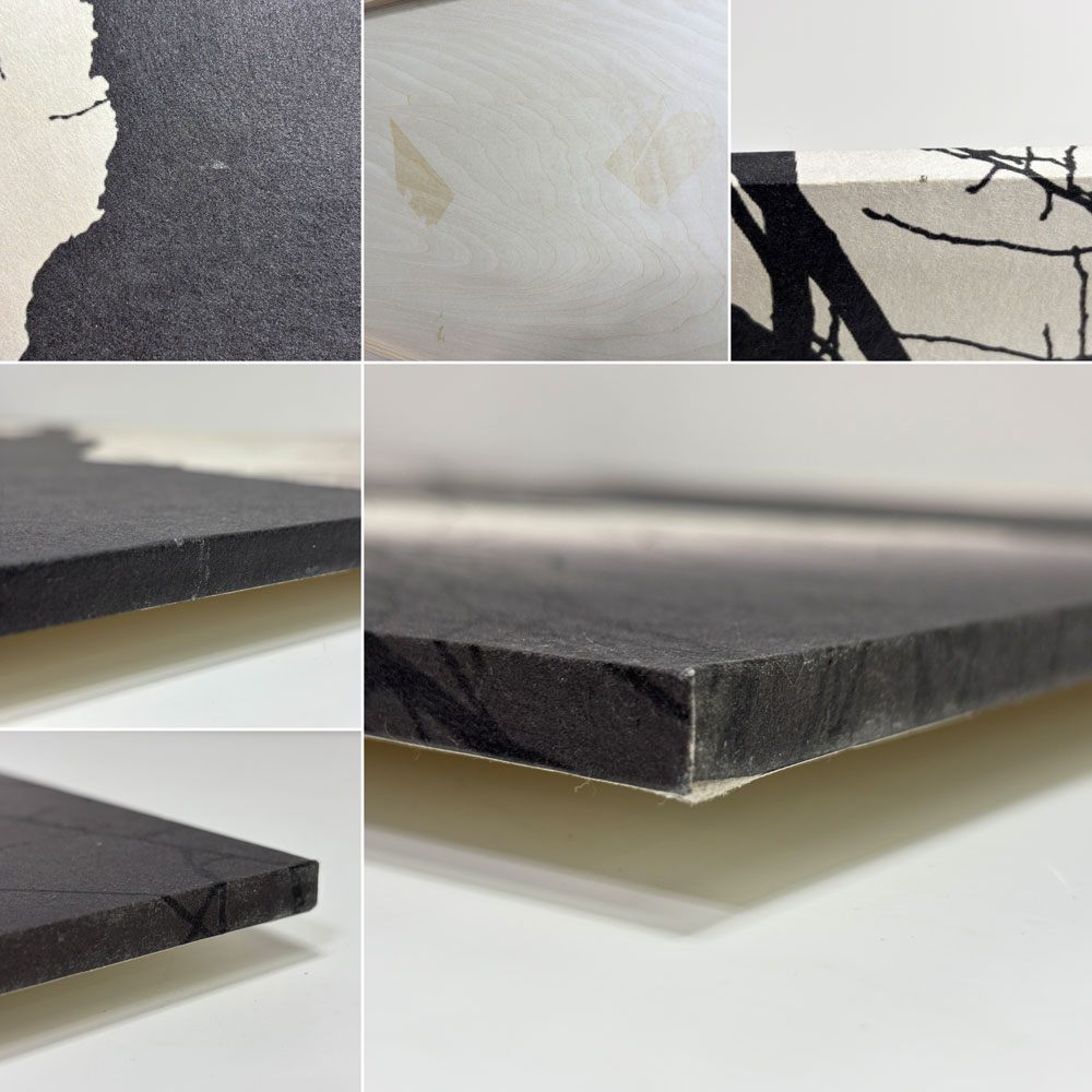 フォト ウォールアート アートフレーム パネル 白黒写真 モノトーン 樹木 mtサイン入り エディションNo.1/3 作家不明 ポスター 壁掛けインテリア ●