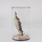 リンディ・ドゥルト Lyndie Dourthe ガラスドーム アートオブジェ ぶどう H20.5cm H.P.FRANCE取扱 ●