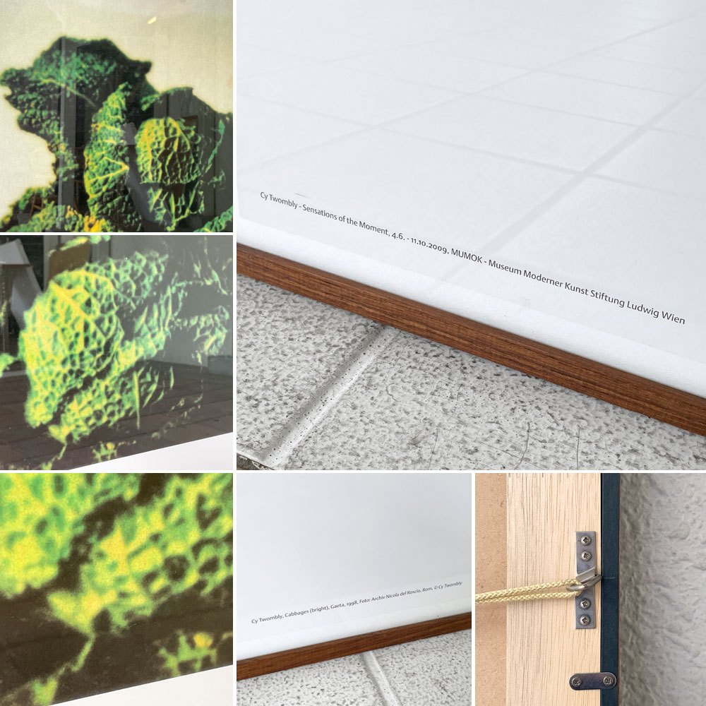 サイ・トゥオンブリー Cy Twombly キャベツ Cabbages 展覧会 SENSATIONS OF THE MOMENT 2009 オフセットリトグラフ ポスター 額装品 ◇