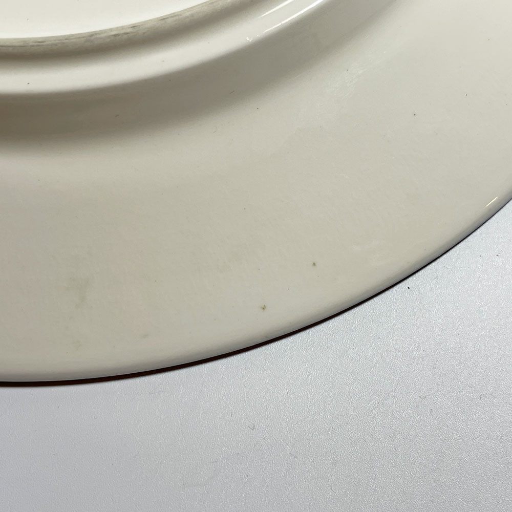 アラビア ARABIA バレンシア Valencia プレート 25cm ウラ・プロコッペ Ulla Procope 箱付 フィンランド 北欧食器 ★