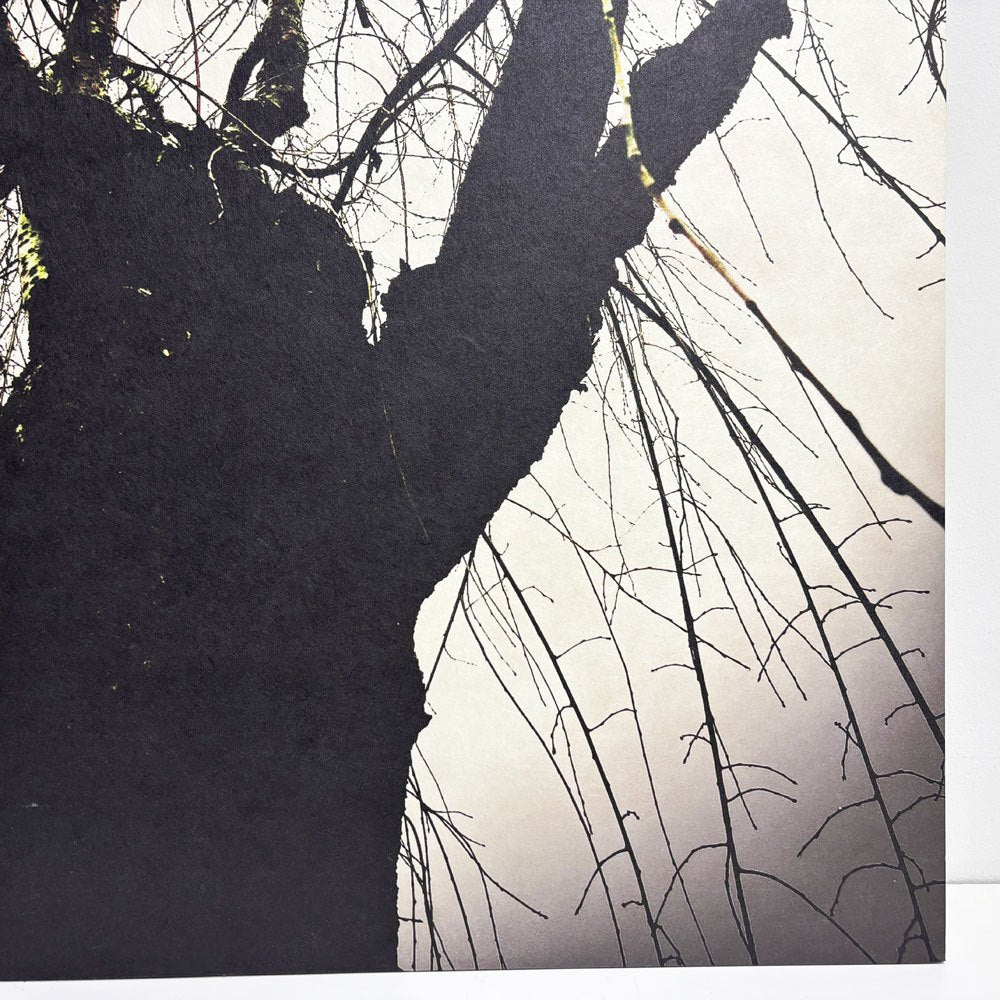 フォト ウォールアート アートフレーム パネル 白黒写真 モノトーン 樹木 mtサイン入り エディションNo.1/3 作家不明 ポスター 壁掛けインテリア ●