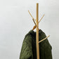 イデー IDEE ウッデンコートツリー Wooden Coat Tree コートスタンド コートハンガー タマリン材×マクタン石 H183cm 定価￥33,000- ●