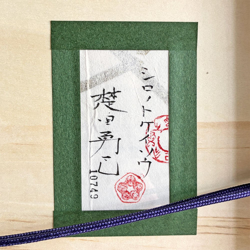 楚里勇己 Yuuki Sori シロノトケイソウ S4号 銀箔 岩絵具 典具帖紙 神郷紙 アクリル額装品 44×44cm 日本画家 〓