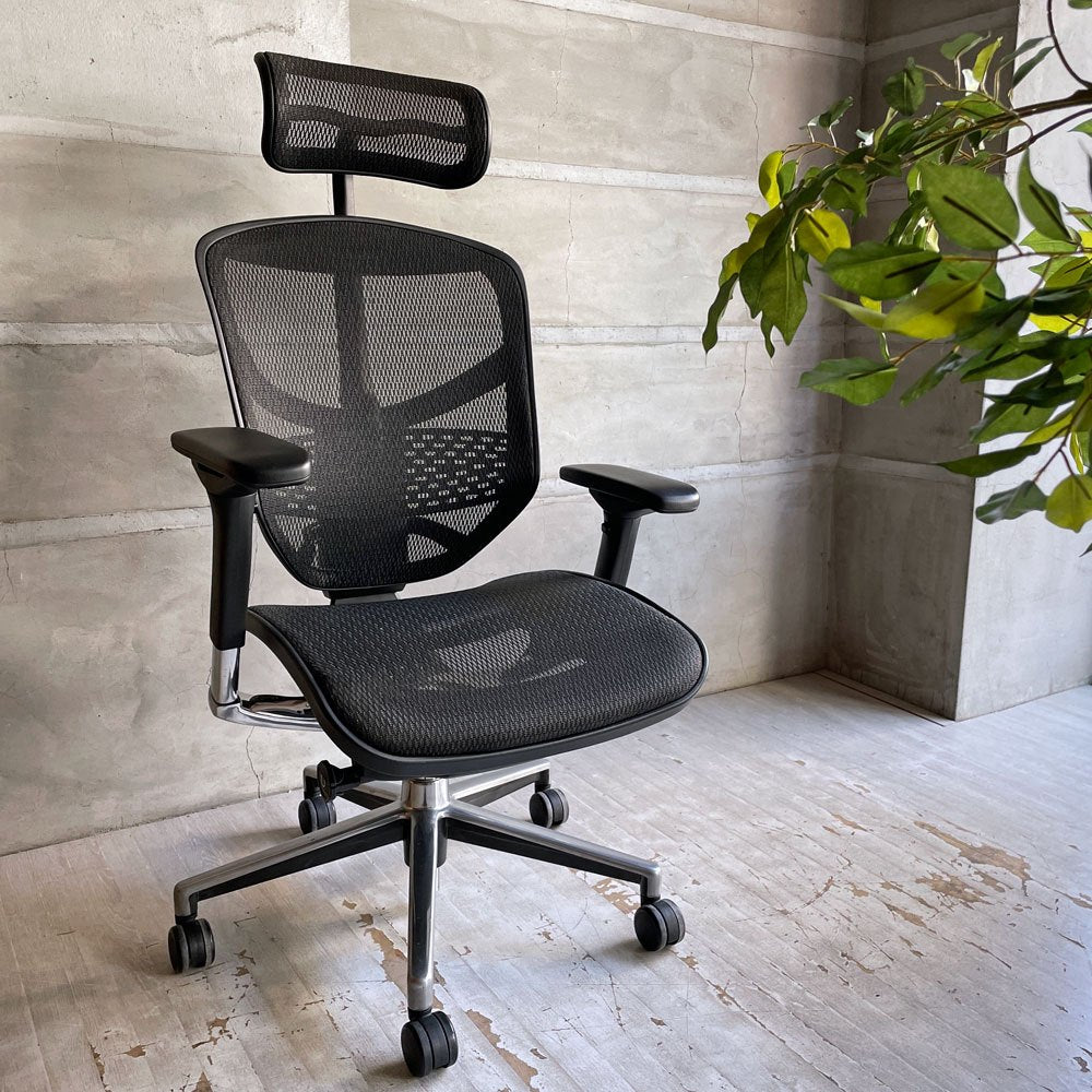 エルゴヒューマン Ergohuman エンジョイ ENJOY エルゴノミクスチェア デスクチェア ヘッドレスト付き ブラック メッシュ張り ♪