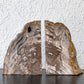オーク ペトリファイド ウッド OAK Petrified Wood 珪化木 ブックエンド 本立て オブジェ ベージュ系 ウッドストーン 鉱石 ◇