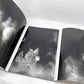 川田喜久治 Kikuji Kawada ラスト・コスモロジー The Last Cosmology フォトブック 24×33cm MACK社 2015年版 ●