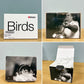 イッタラ iittala イッタラバード Birds by Toikka ラカティ・エッグ Rakatti Egg SCOPE限定 2013年 オイバ・トイッカ イッタラバード 北欧雑貨 ◎