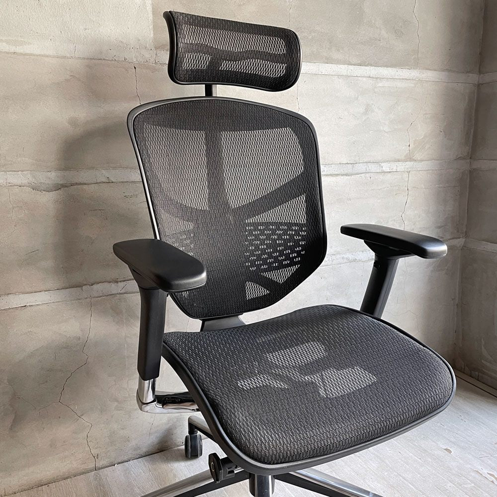 エルゴヒューマン Ergohuman エンジョイ ENJOY エルゴノミクスチェア デスクチェア ヘッドレスト付き ブラック メッシュ張り ♪