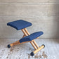 ストッケ STOKKE ヴァリエール VARIER マルチバランス MULTI バランスチェア ビーチ材 ファブリック ネイビー 北欧 ノルウェー ♪
