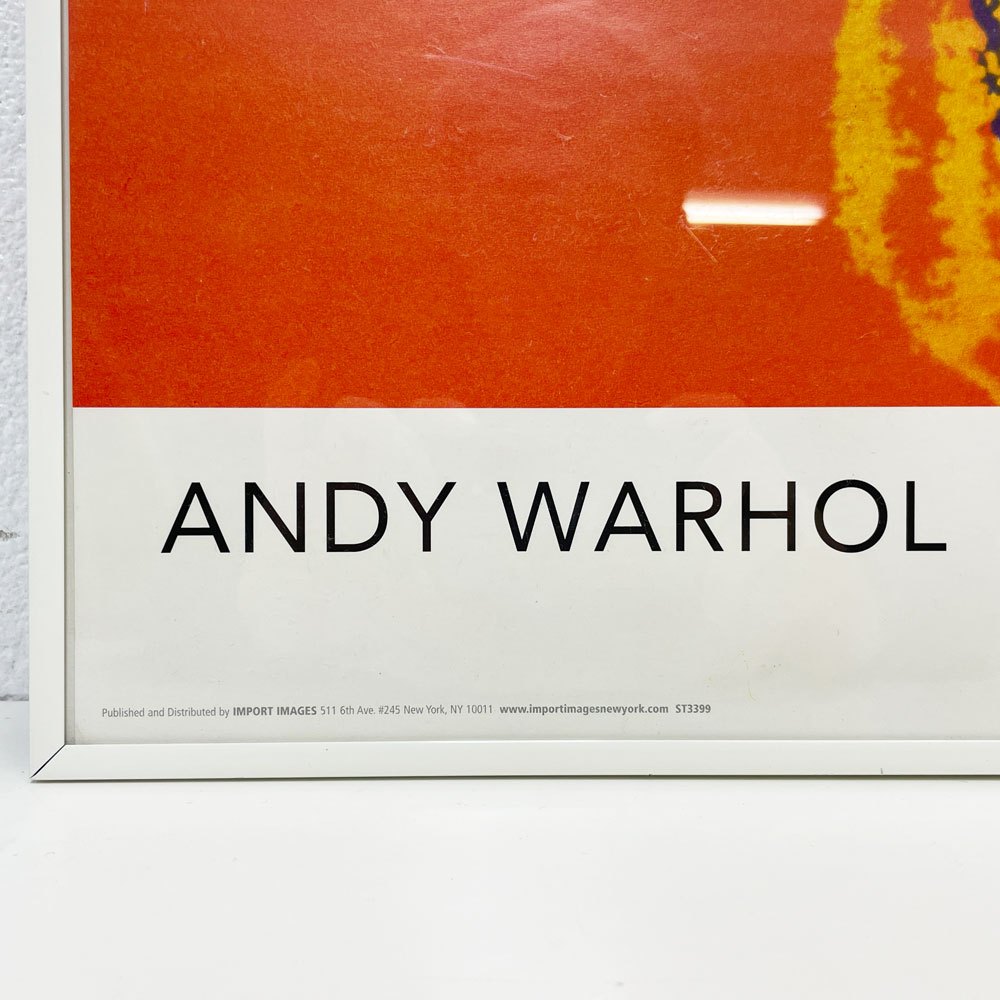 IMPORT IMAGES アンディ・ウォーホル Andy Warhol ダラーサイン Dollar Sign ポスター 61.5×92cm 額装品 ポップアート 現代美術 ●
