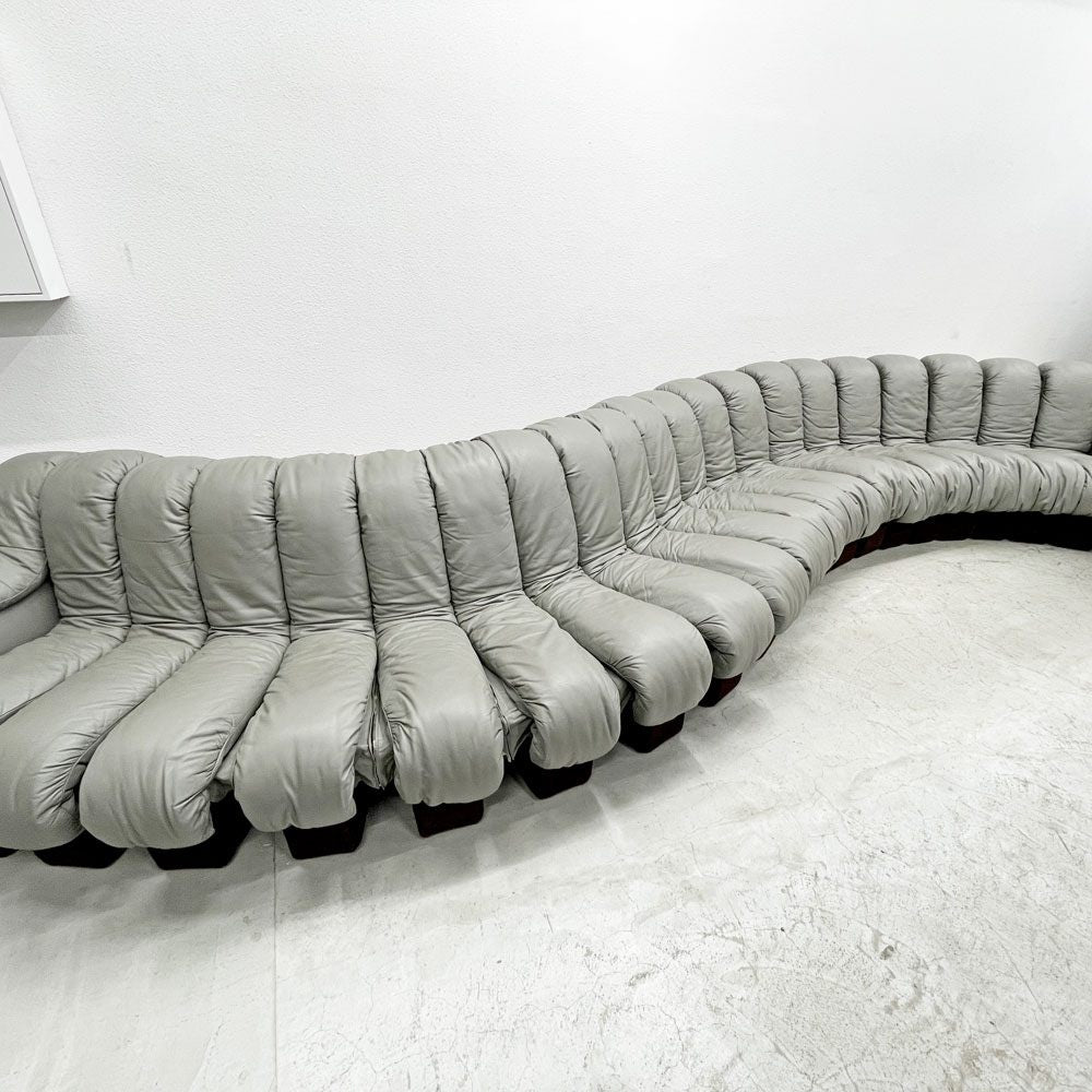 デセデ de Sede DS-600 スネークソファ Snake Sofa 22ピース 本革 ウル・ベルガー Ueli Berger スイスビンテージ モビリア mobilia取り扱い 〓