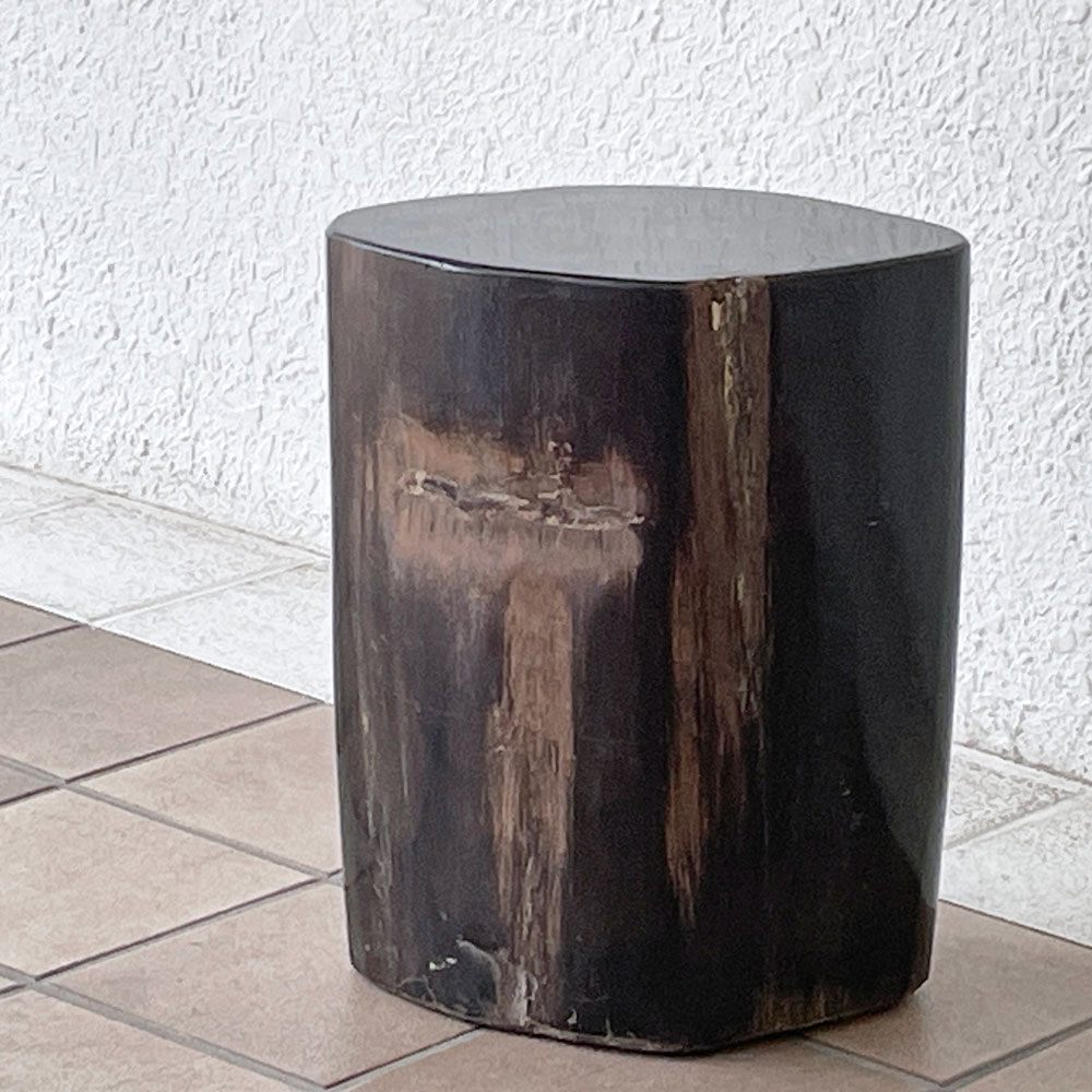 オーク ペトリファイド ウッド OAK Petrified Wood 珪化木 スツール H37.5cm サイドテーブル オブジェ ウッドストーン 鉱石 定価24万円 ◇