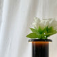 マジス MAGIS ブーケ Bouquet ポータブルランプ フラワーベース ブラックブラウン 内蔵型LED 調光可 箱付 ブロリアート・トラヴェルソ 定価￥39,600- 未使用品 ◇