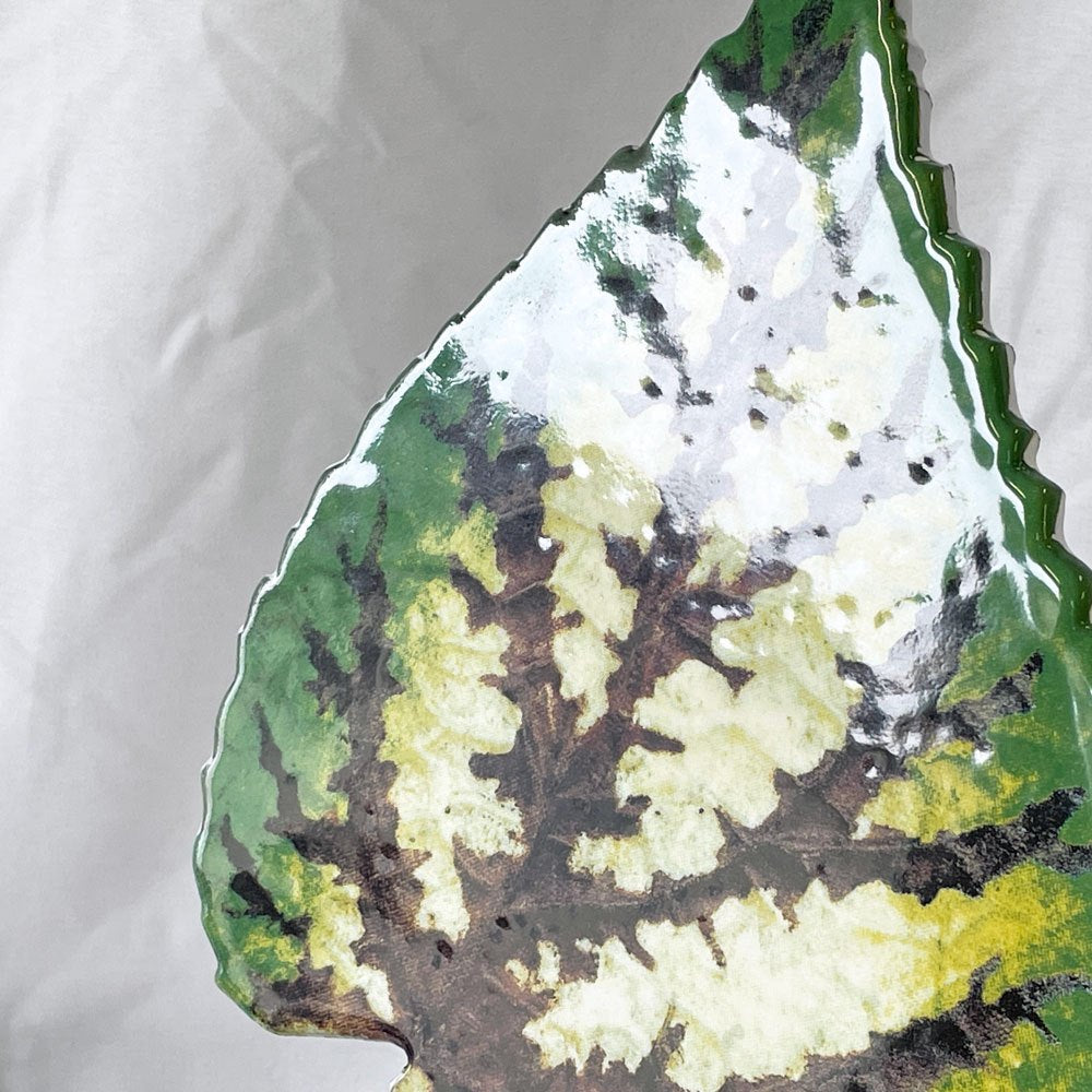 アスティエ・ド・ヴィラット Astier de Villatte ジョン・デリアン John Derian トロピカルリーフ リーフプラッター W28.5cm フランス ◇