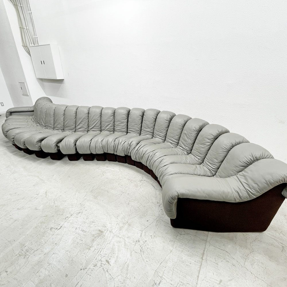 デセデ de Sede DS-600 スネークソファ Snake Sofa 22ピース 本革 ウル・ベルガー Ueli Berger スイスビンテージ モビリア mobilia取り扱い 〓