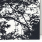 マリメッコ marimekko トゥーリ TUULI ファブリックパネル マイヤ・イソラ 90×60cm モノトーン ブラック＆ホワイト 北欧 フィンランド ●