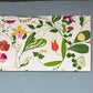 ボラス Boras Cotton フォグリングストゥール Fagringstor ファブリックパネル W140cm 北欧 スウェーデン ◎