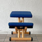 ストッケ STOKKE ヴァリエ VARIER マルチバランス MULTI バランスチェア ブルー 学習椅子 北欧家具 ◇