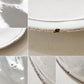 アスティエ・ド・ヴィラット ASTIER de VILLATTE シンプル SIMPLE プレート 19cm フランス 定価￥17,050- A ◎