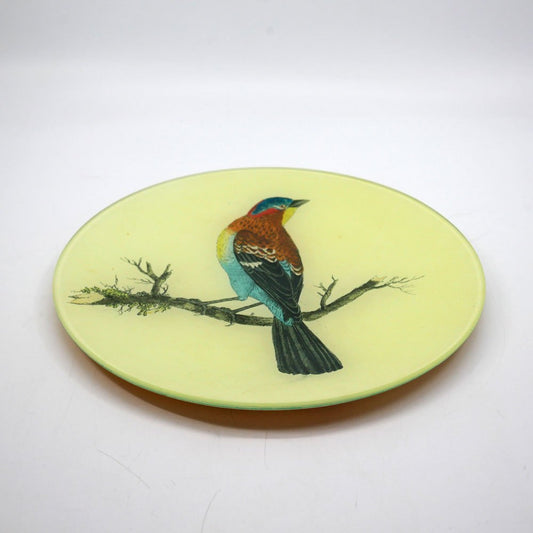 ジョンデリアン JOHN DERIAN デコパージュプレート Decoupage plate バード bird ブラウン 飾り皿 Φ21.5cm アッシュペーフランス H.P. FRANCE 取扱 ●