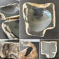オーク ペトリファイド ウッド OAK Petrified Wood 珪化木 アクセサリートレイ 小物入れ オブジェ ウッドストーン 鉱石 ◇