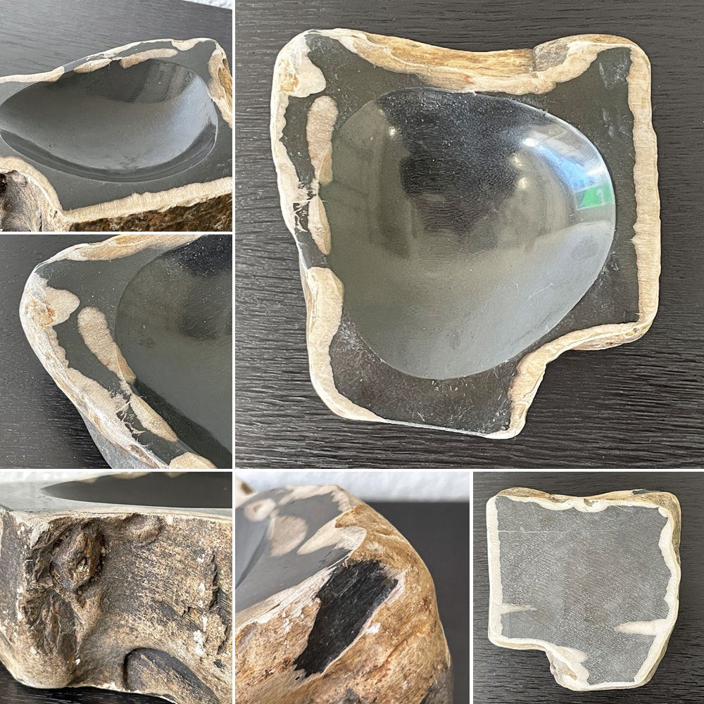 オーク ペトリファイド ウッド OAK Petrified Wood 珪化木 アクセサリートレイ 小物入れ オブジェ ウッドストーン 鉱石 ◇