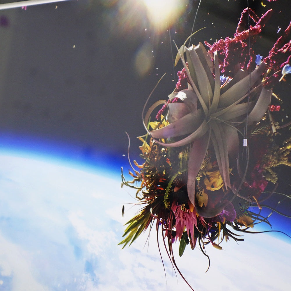 AMKK 東信 花樹研究所 EXOBIOTANICA オリジナルプリント BOUQUET #5988 2014年 証明書付き 額装品 BOTANICAL SPACE FLIGHT ●